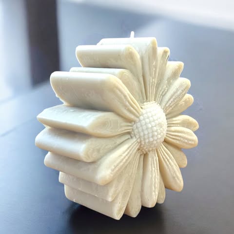 Marguerite Colorée