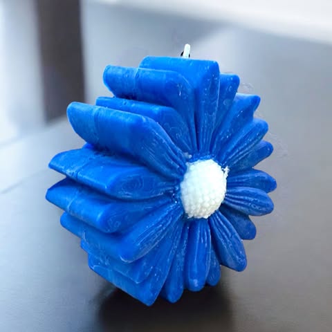Marguerite Colorée