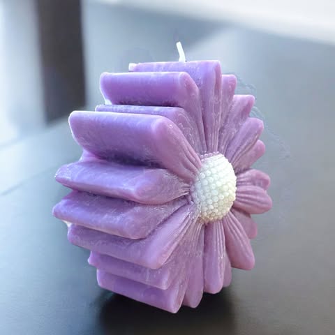 Marguerite Colorée