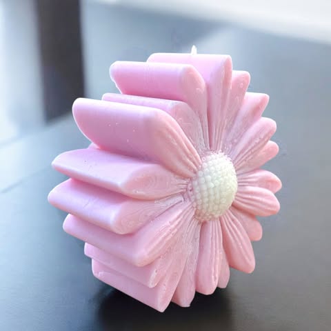 Marguerite Colorée