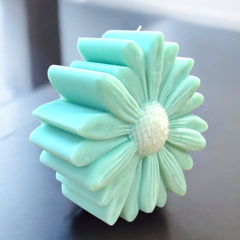 Marguerite Colorée