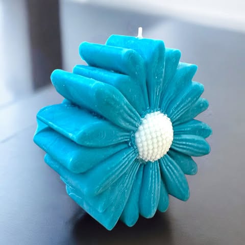 Marguerite Colorée