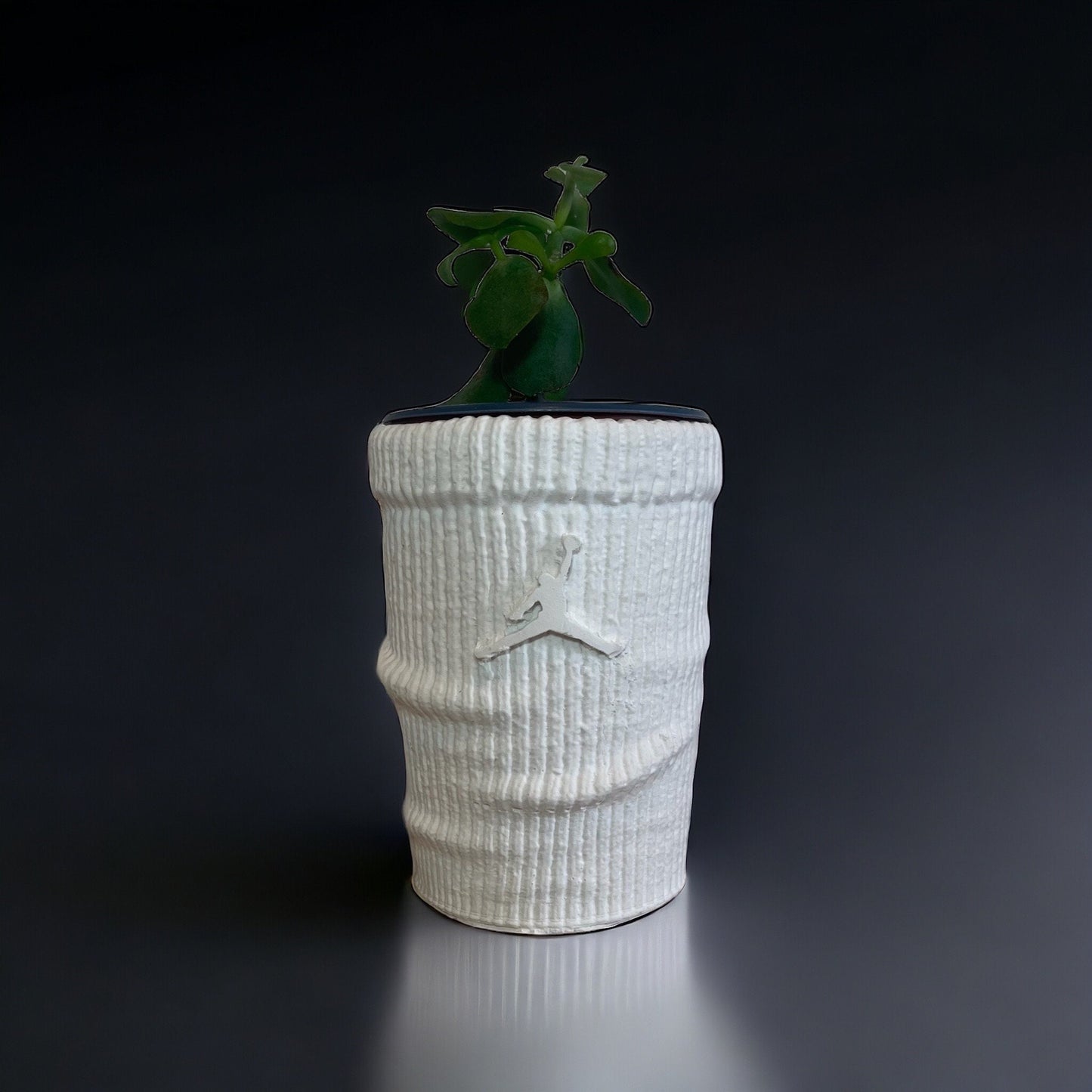 Big Sock planter Jumpman pot de fleur Low ceramic AF1 sneakers Basket 5 in / 13 cm