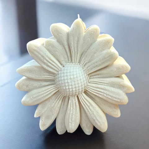 Bougie Marguerite Colorée