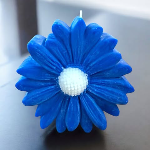 Bougie Marguerite Colorée
