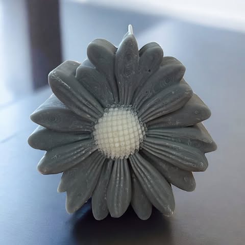 Bougie Marguerite Colorée