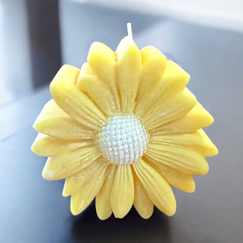 Bougie Marguerite Colorée
