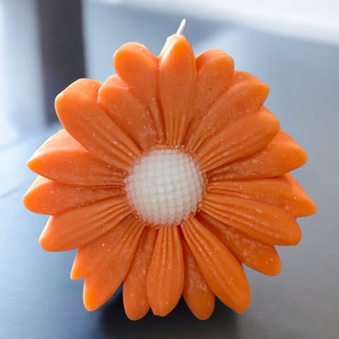 Bougie Marguerite Colorée