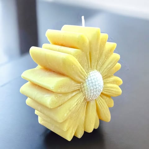 Bougie Marguerite Colorée