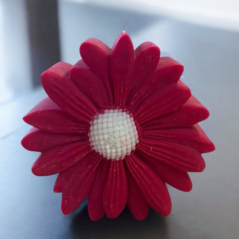 Bougie Marguerite Colorée