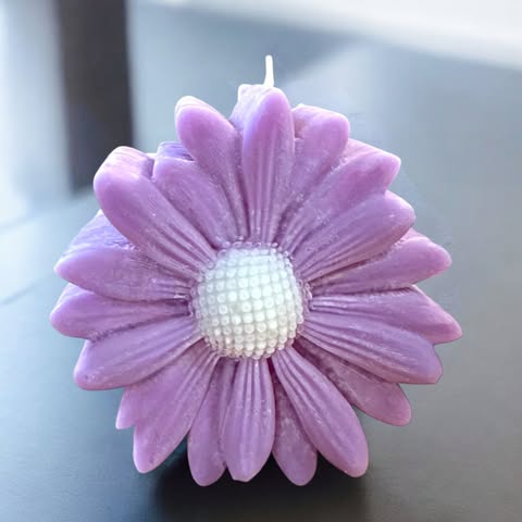 Bougie Marguerite Colorée