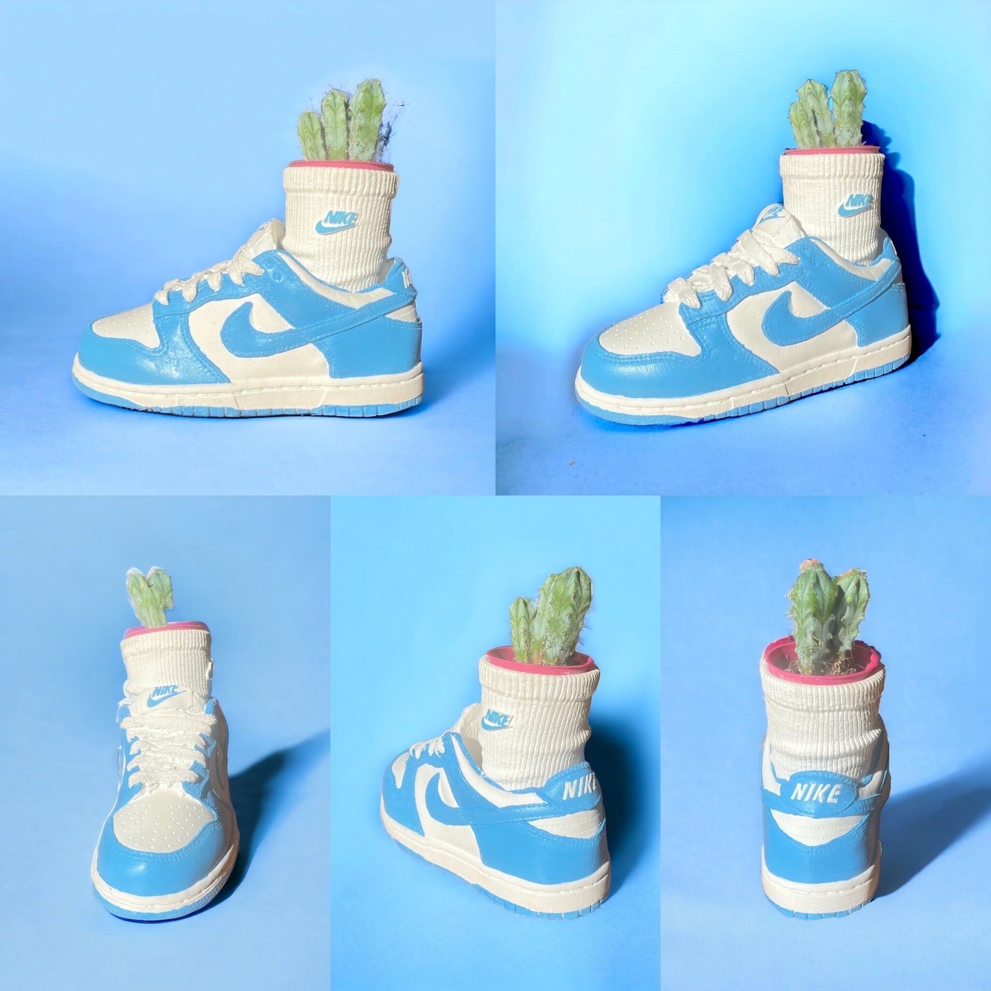 Dunk Low Carolina Sock planter pot de fleurs ceramic Sneakers 8 in / 20 cm
