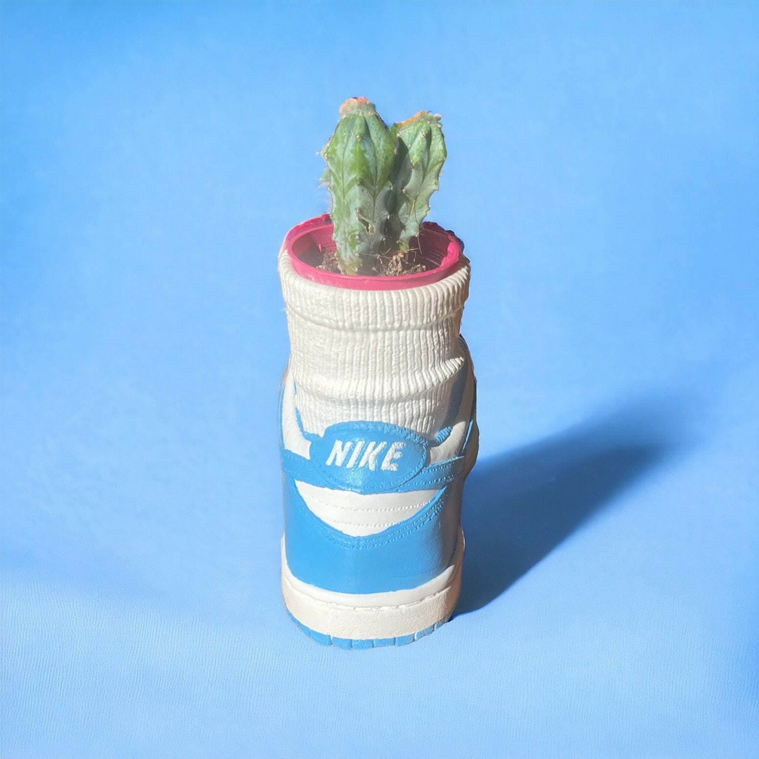 Dunk Low Carolina Sock planter pot de fleurs ceramic Sneakers 8 in / 20 cm