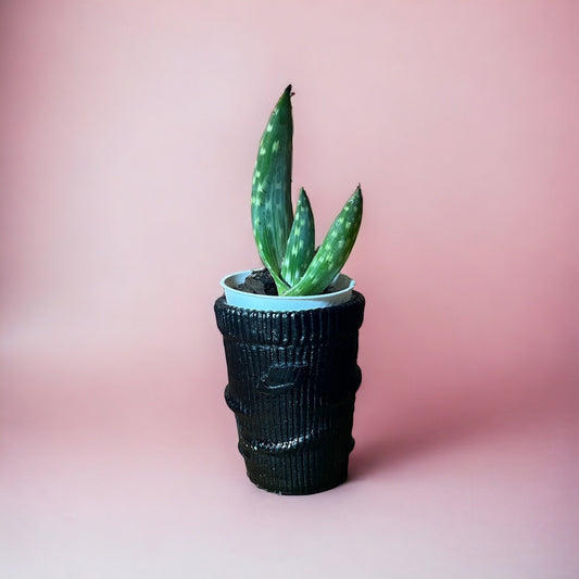 Sock Mini planter black mini pot de fleur Low ceramic AF1 sneakers Basket 3.5 in / 9 cm
